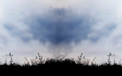 Boost your immune system and energy this winter