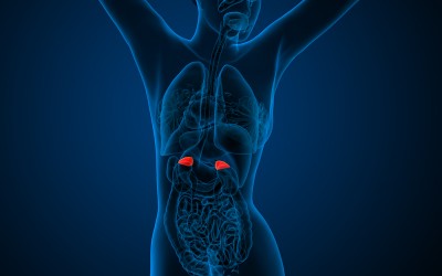 The 3 stages of adrenal dysfunction and what to do about it….