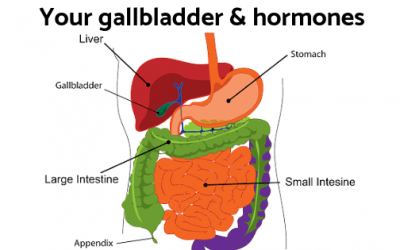 Don’t overlook your gallbladder & its affect on your hormones