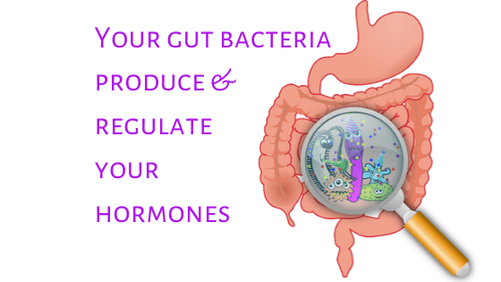 Your gut bacteria and your hormones