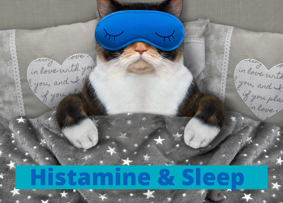 Histamine & Sleep